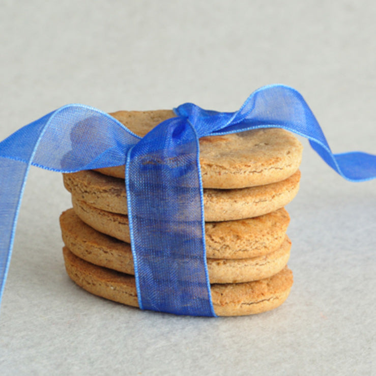 Dog Biscuit